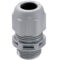 Wiring Devices & Accessories
